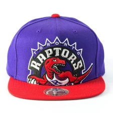 NBA Toronto Raptors Hats-906